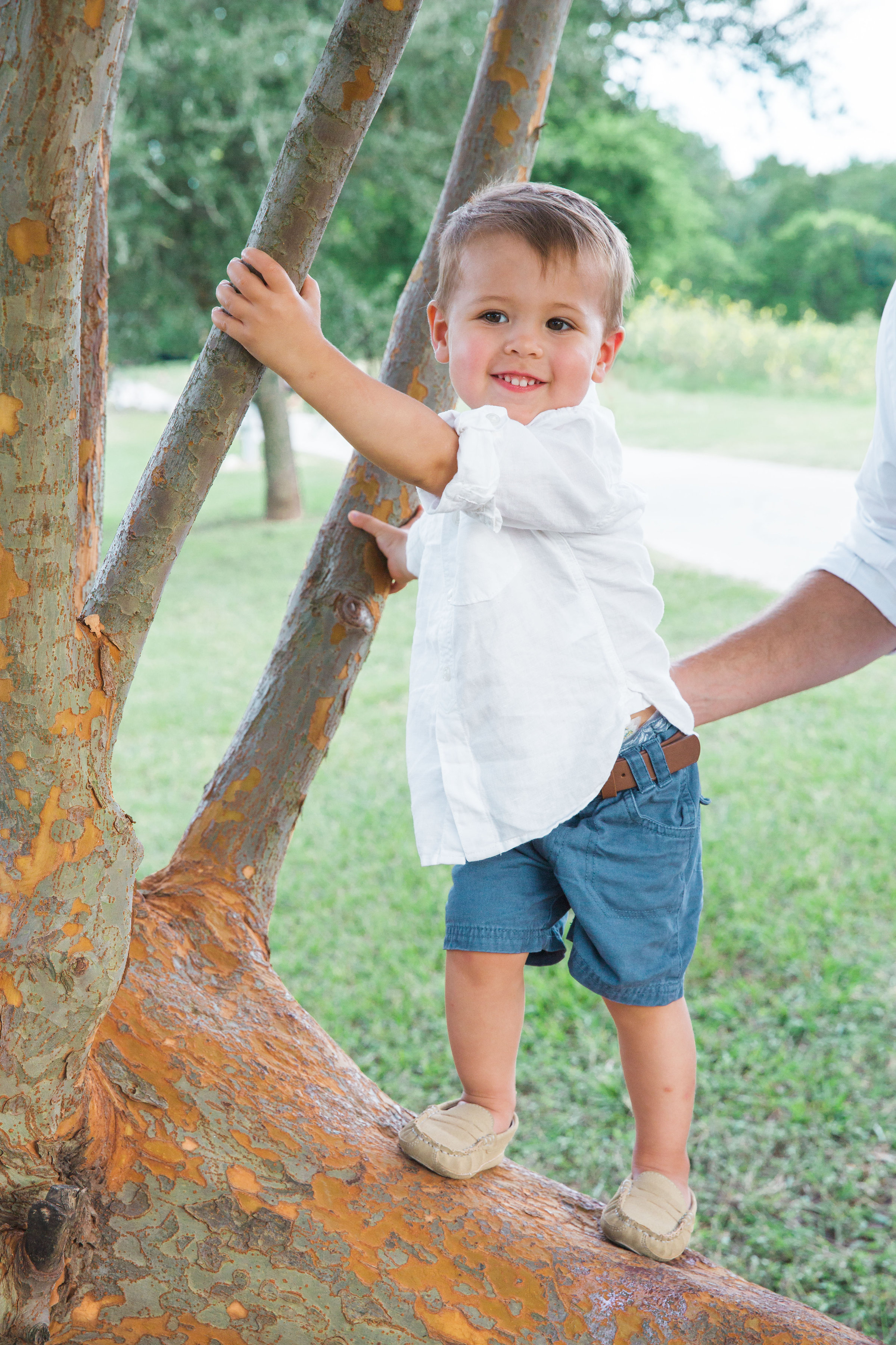 Braden tree climb laureenloves.com