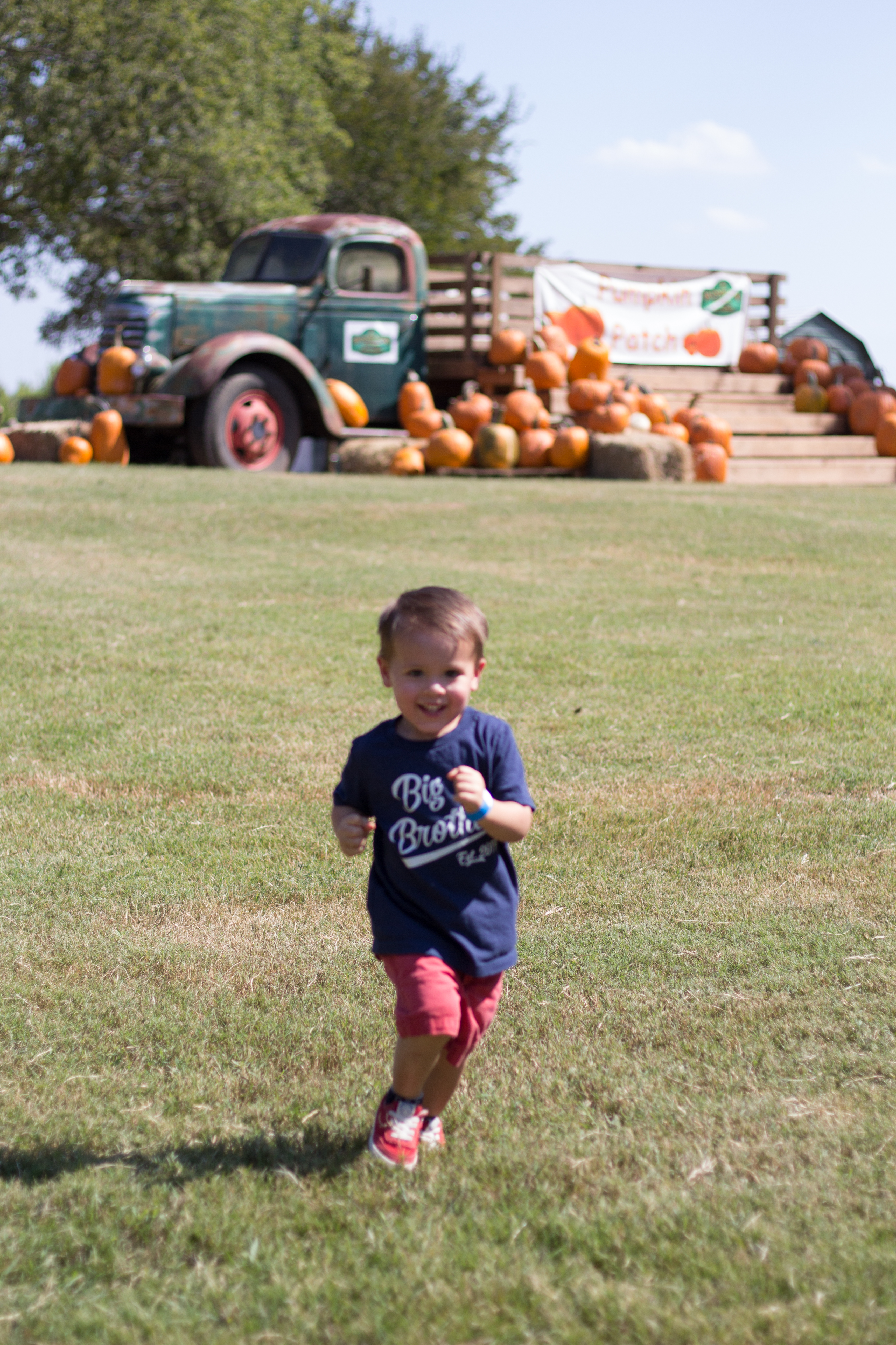 pumpkin-patch-11