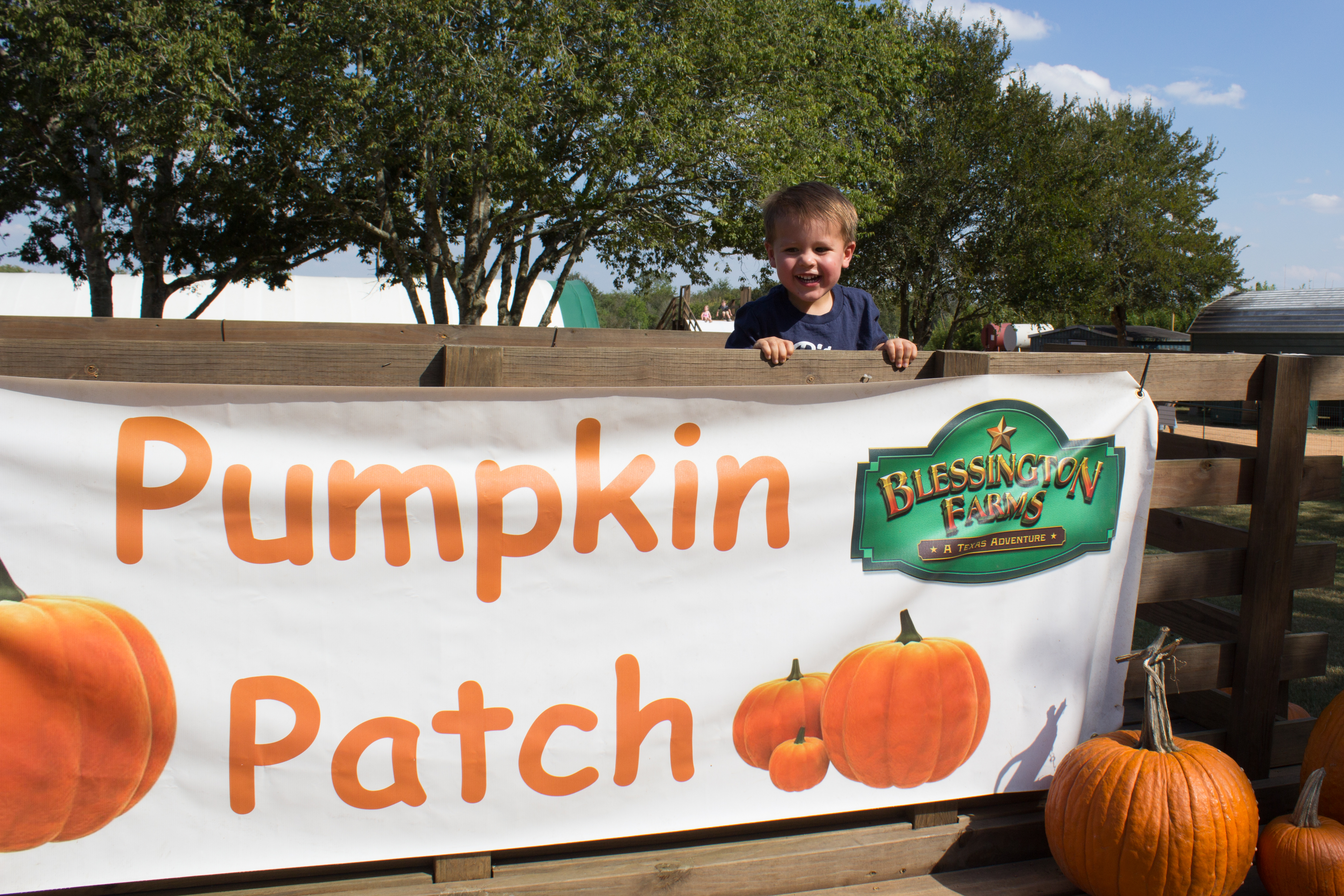 pumpkin-patch-17