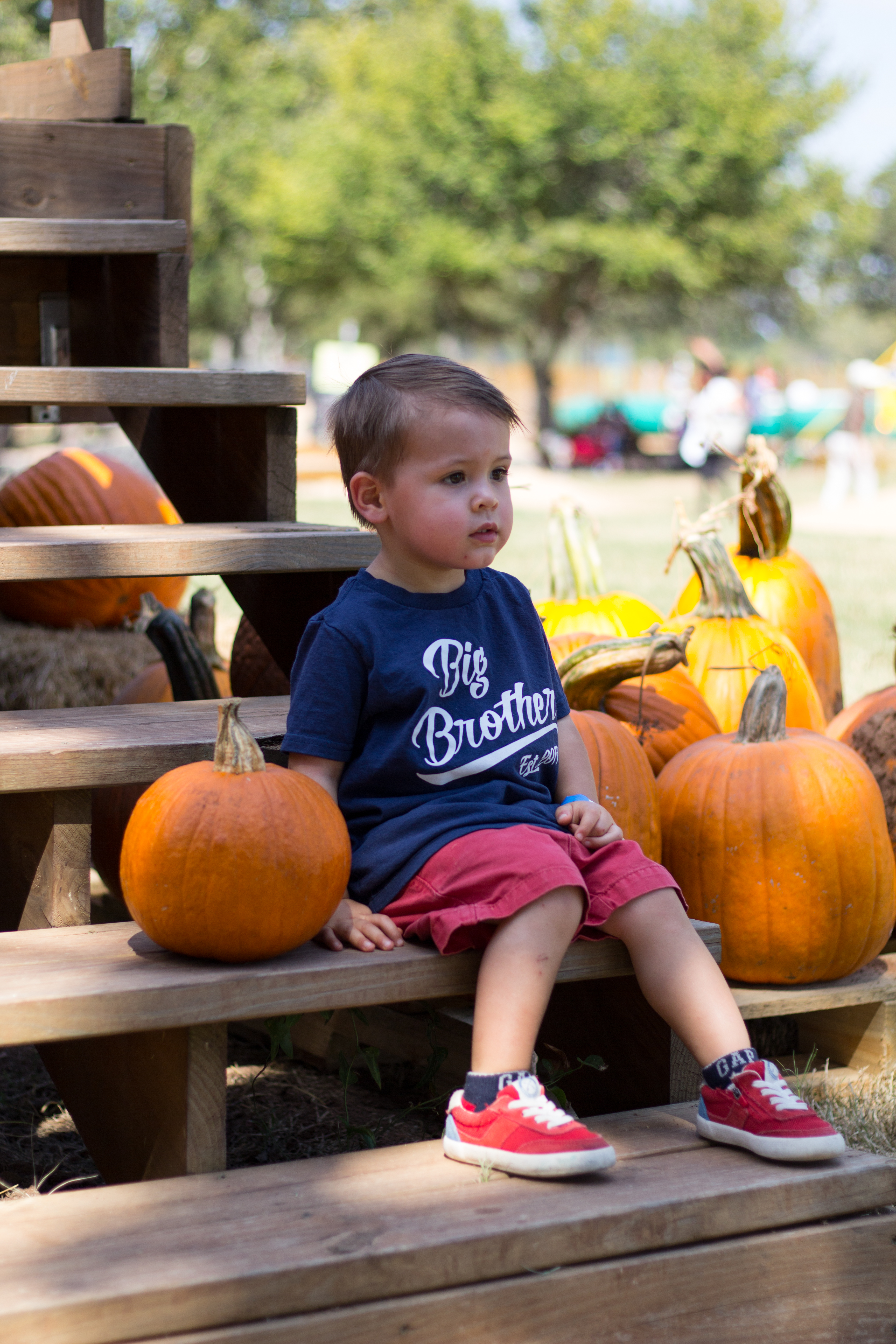 pumpkin-patch-7